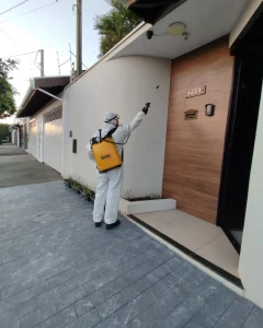 Serviço de dedetização 1