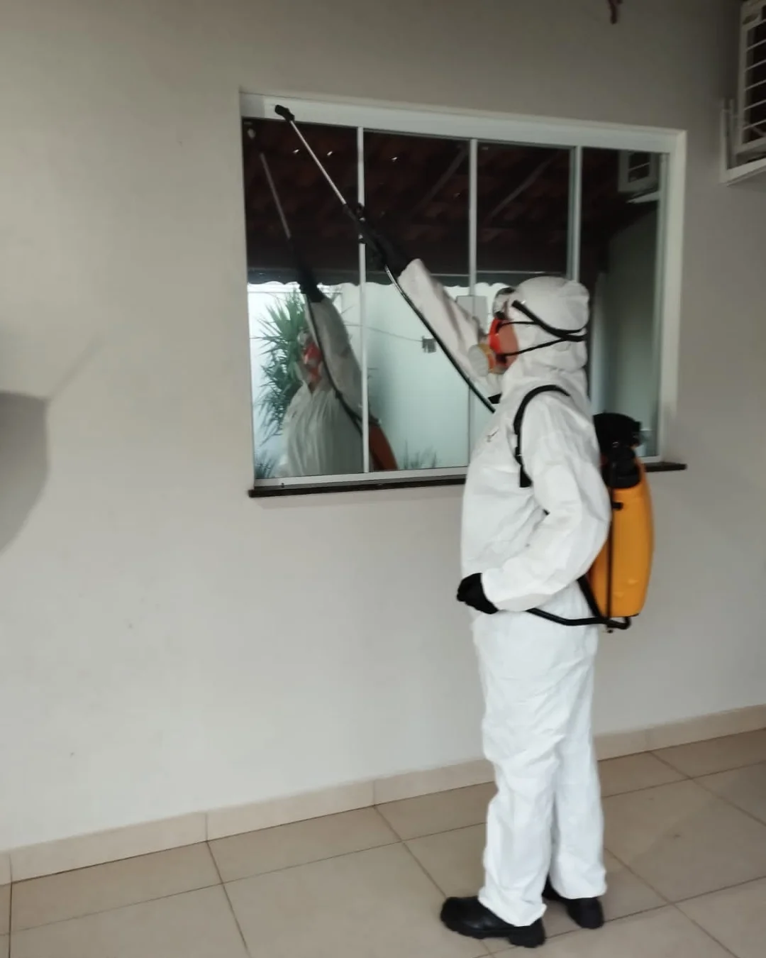 Serviço de dedetização 2