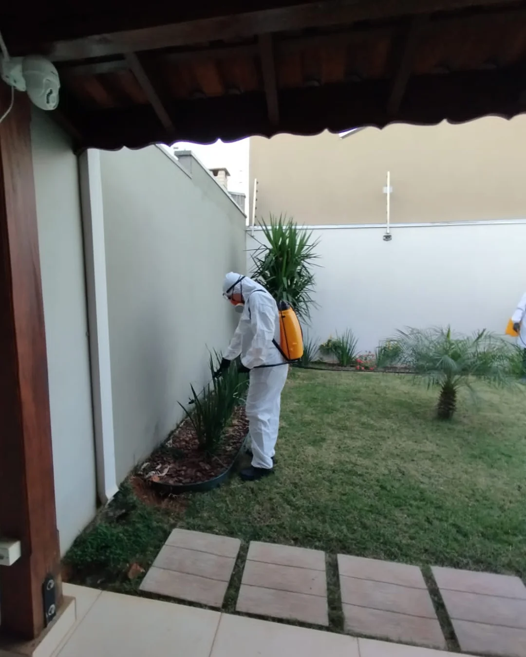 Serviço de dedetização 8