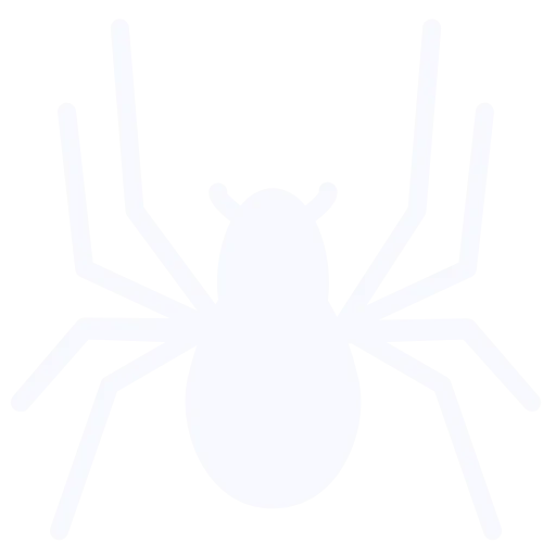 Dedetização de aranhas