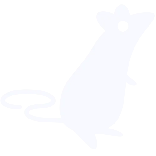 Dedetização de ratos